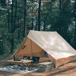 pulses from organic farm